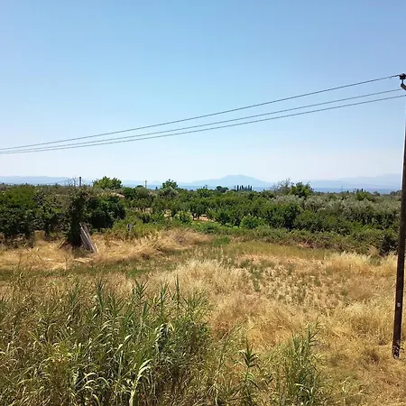 Lechonia * Káto Lekhónia