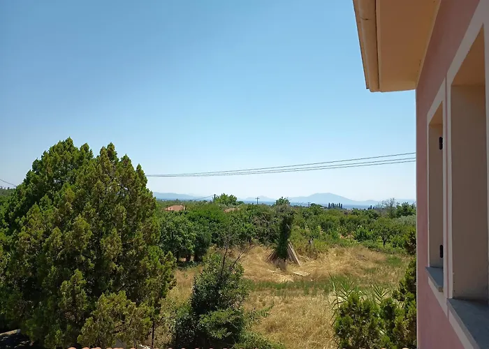 Lechonia Kato Lekhonia