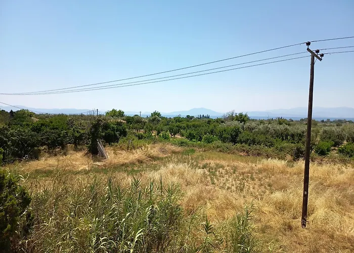 Lechonia * Kato Lekhonia