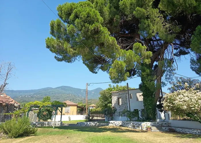 Летний дом Lechonia